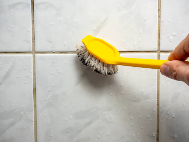 Best Home Mold Removal  in Springtown, TX