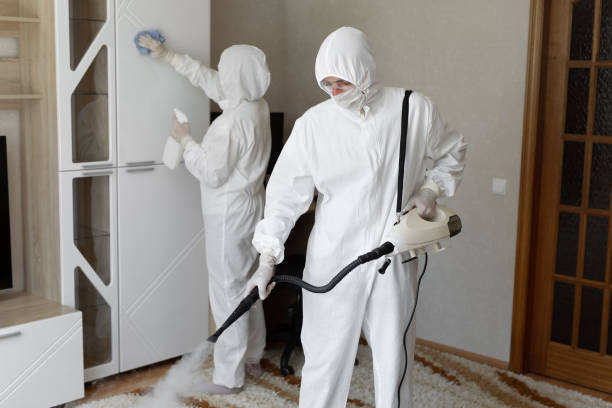 Best Crawl Space Mold Removal  in Springtown, TX