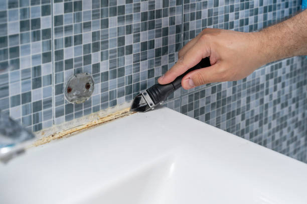 Best Mold Cleaning Services  in Springtown, TX